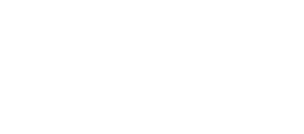 iDeaS